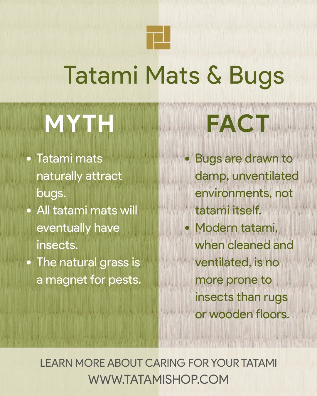 Myths and facts about bugs