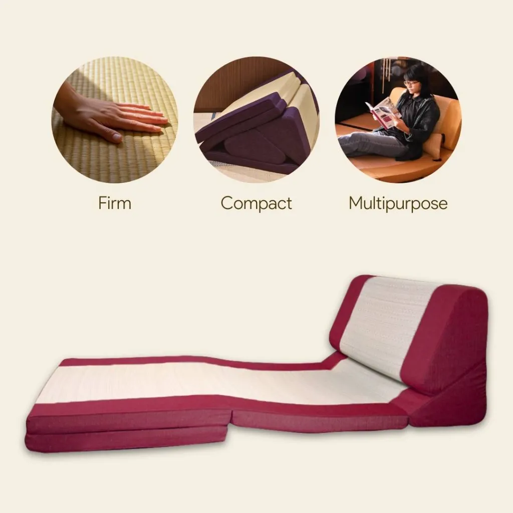 Sofa Bed_main benefits.webp