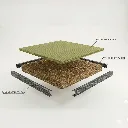 Cross section.webp