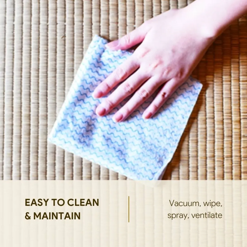 Easy to clean.webp