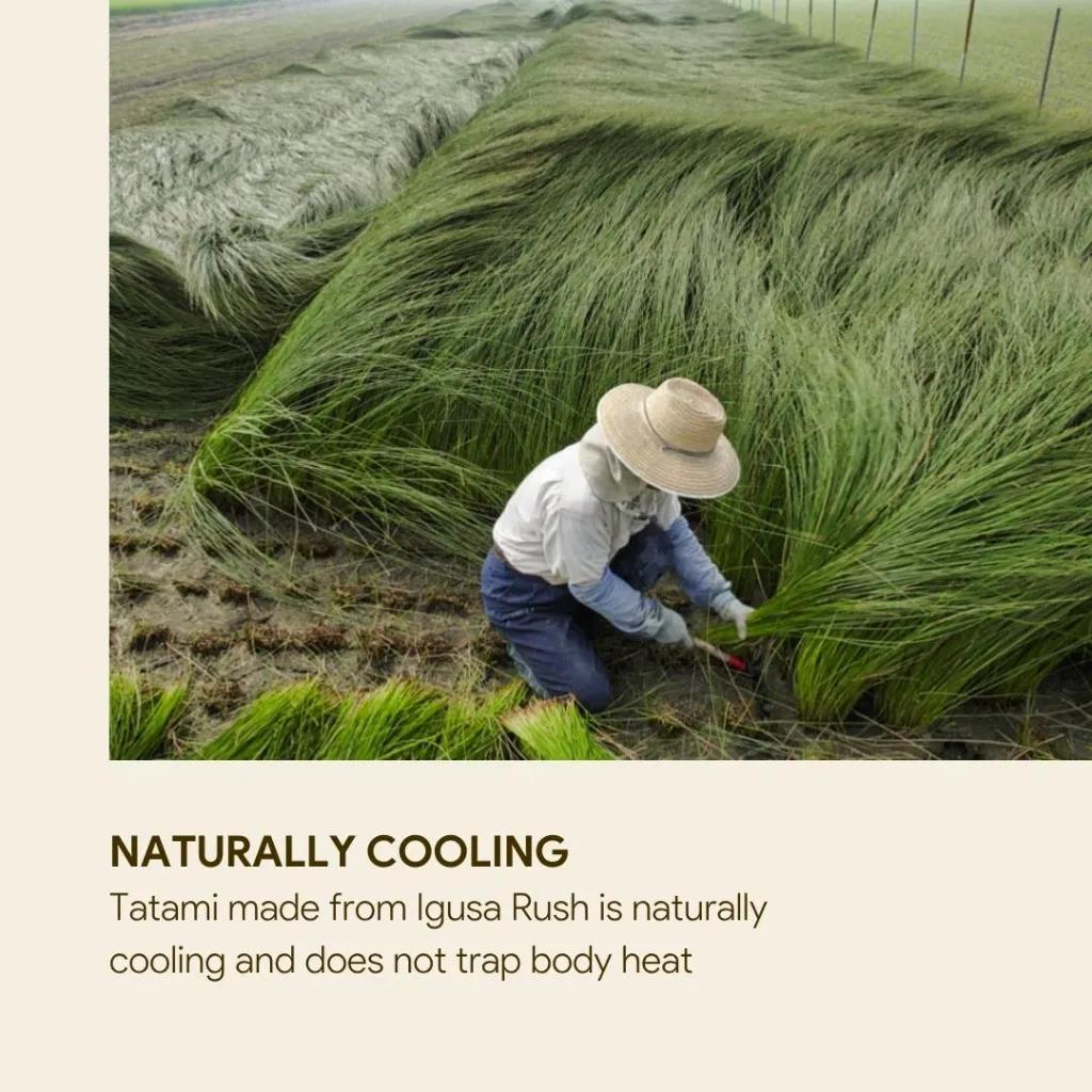 Naturally cooling.webp